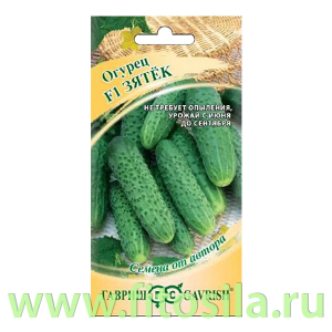 Огурец Зятек F1 10 шт. автор. (семена для проращивания)