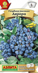 Семена Голубика высокая Аврора