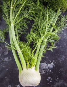 Фенхель Сопрано (УД) 0,5 гр цв.п.