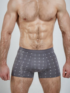 SD2036-3 Трусы мужские Salvador Dali Дроп боксеры