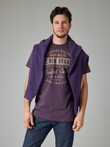 Футболка мужская арт. 02285/Brand