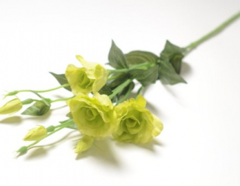 Искусственные цветы, Ветка эустома на ветке 3 головы и 3 бут. (1010237)