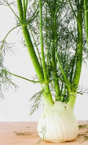 Фенхель (сладкий укроп) Огородный (УД) 0,3 гр