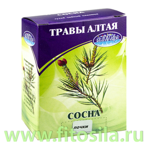 Сосна, почки, 25 г (коробочка), чайный напиток