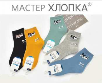 Носки для мальчиков  ( 5 пар) арт. DА7028(р. 1-3 )