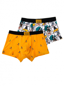 Трусы-боксеры для мальчика, 2 шт. в комплекте