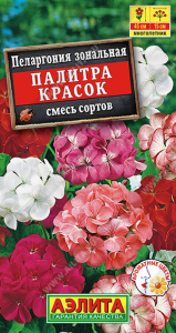 1554A Пеларгония Палитра красок, смесь сортов 4 шт