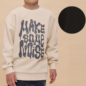 BFN3362 толстовка для мальчиков (1 шт в кор.)