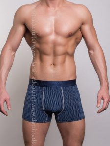 SD2040-1 Трусы мужские Дроп Salvador Dali боксеры