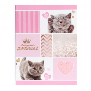 Дневник для 1-4 классов, 