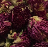 Гомфрена 50 гр