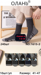 Мужские носки Термо Аляска