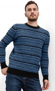 Джемпер мужской в полоску F310-0501 синий