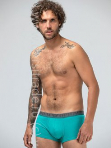 Трусы мужские R162 Opium Дроп боксеры