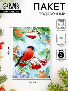 Пакет подарочный новогодний «Снегирь на ветке рябины», полиэтиленовый с вырубной ручкой, 30?40 см