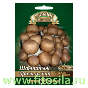 Шампиньон Бразильский на зерновом субстрате, больш. пак. 15 мл (семена для проращивания)