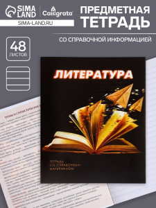 Тетрадь предметная 48 листов в линейку Calligrata «3D. Литература», серые листы
