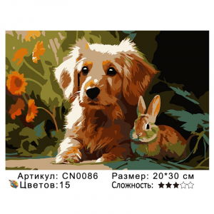 CN0086 Картины по номерам 20*30 цвет.холст Под заказ