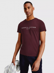 Embroidered Tommy Logo T-Shirt