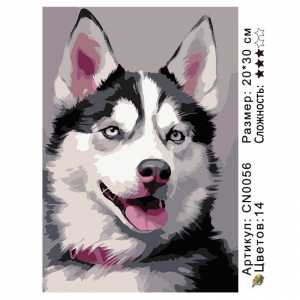 CN0056 Картины по номерам 20*30 цвет.холст Под заказ