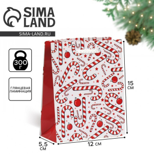 Пакет подарочный новогодний ламинированный «Зимняя история», S 12?15?5.5 см