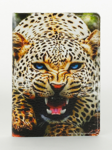 Обложка для паспорта VITA2