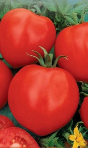 Томат Канары (УД) 20 шт цв.п