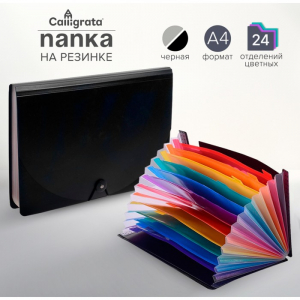 Папка на резинке А4, 24 отделения (разноцветные), чёрная