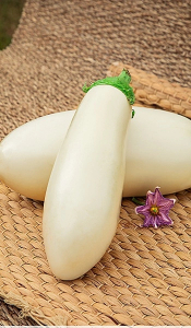 Баклажан Белый рыцарь F1 (Селекция 