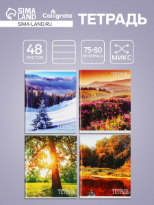 Тетрадь 48 листов в клетку, Calligrata «Времена года», серые листы, МИКС