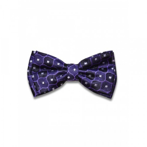 Бабочка Tsarevich 43