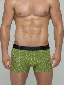 SD2023-4 Трусы мужские Salvador Dali Дроп боксеры