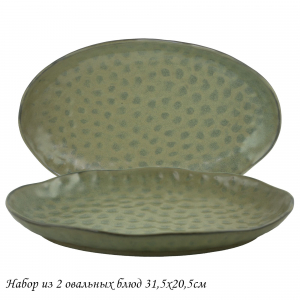 205-443 Набор из 2 овальных блюд 31,5х20,5см МИСТРАЛЬ в под.уп.(х12)Фарфор