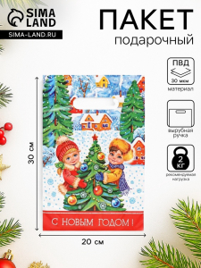 Пакет «Зимние забавы», полиэтиленовый с вырубной ручкой, 20?30 см