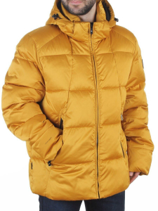 6266L GOLD Куртка зимняя мужская (био-пух)