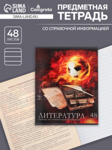 Тетрадь предметная, 48 листов в линейку Calligrata, «Футбол. Литература»