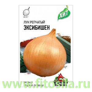 Лук репч. Эксибишен 0,1 г (Голландия) ХИТ х3 (семена для проращивания)