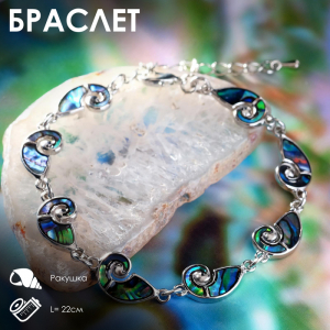 Браслет «Галиотис» ракушки-завитки, 22 размер