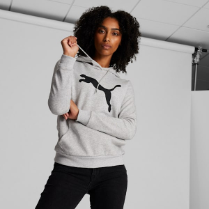 Essentials Big Cat Logo