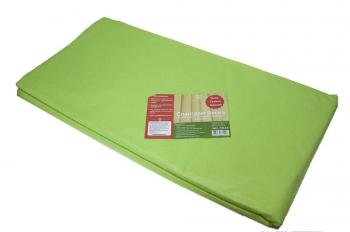 Спанграм Весна-60 Салатовый 3,2 х 12 м