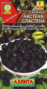0407A Ежевика Настена-сластена 15 шт