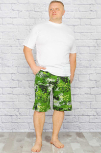 Шорты мужские 5XL (зеленый)