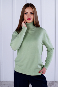 водолазка 
 19.03-001-31