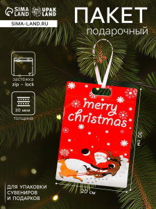 Пакет подарочный новогодний, «С новым годом!», с zip-lock застежкой, 20?30+4.5 см