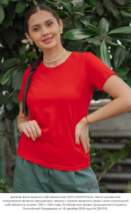 Футболка приталенная        (арт. 101105-4)