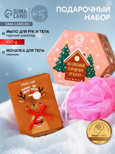 Новогодний подарочный набор косметики «Волшебные истории», мыло для рук кусковое 100 г и мочалка для тела, URAL LAB