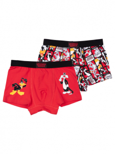 Трусы-боксеры для мальчика, 2 шт. в комплекте