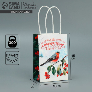 Пакет подарочный новогодний крафтовый «С Новым годом», 15?10?6 см