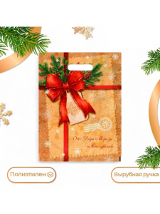 Пакет подарочный новогодний «Послание от деда мороза и снегурочки», полиэтиленовый с вырубной ручкой, 30?40 см