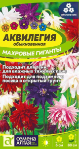 Аквилегия Махровые Гиганты Сем.Алта